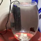 حوضين سمك نهري صغير