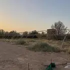 بيت محمي للبيع