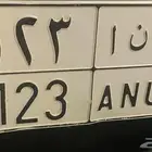 لوحه مميزه للبيع خصوصي