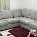 كنب L