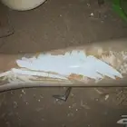 مجموعة مغاسل ومرواش