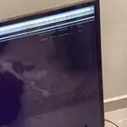 شاشات بلازما 3