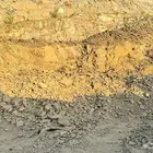 دفنية للبيع