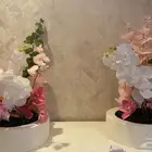 طاولتين استقبال