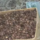 للبيع تمر الأحساء كرتونين