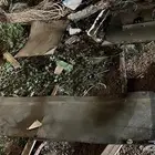 نسافات سطحه دنا