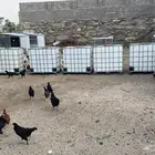 خزان بلاستيك طريق الميه