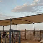 مضلات ابل. شبوك ابل