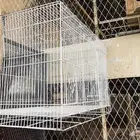 قفص طيور ب50ريال للبيع في بيشة