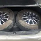 جنوط يارس وكاله
