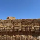 تبن بر شد طيب