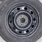 جنوط فورد بوليسي مع تباريز