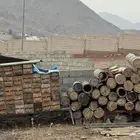 خلايا نحل