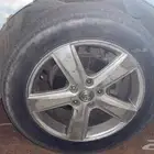 جنوط