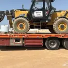 لوبد متواجد بتيما