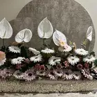 ستاند ورد جديد