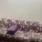كنب