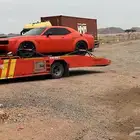 سطحه الحناكيه النخيل الهميج النقره