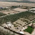 مصور درون