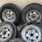 جنوط شيروكي