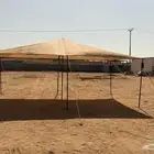 جديد