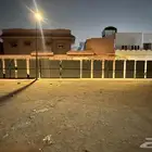 ساتر شينكو