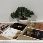 كتب ثقافية وروايات مستعملة بحالة ممتازة