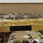 بكس الاهداء العادي
