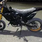 دباب صحراوي