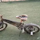 سيكل نضيف