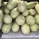 حبحب حايل