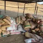 تمر حلال
