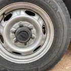 جنوط