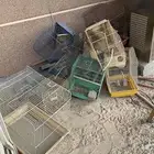 الاحساء الطرف