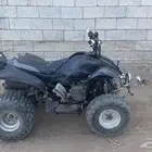 دباب ليفانا