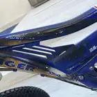 سيكل رياضي الاسم النمر