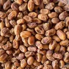 للبيع تمر خلاص فاخر (طن )