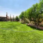 استراحة للايجار اليومي