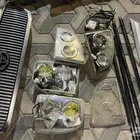 قطع جكسار 2004