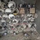 حمام زواجل
