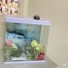 حوض سمك