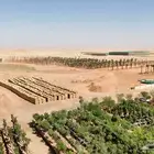 مصور الاحساء المبرز االهفوف حرض
