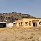 بيت للبيع موقعه النخيل غرب الصبيخه المساحه كبيره
