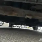 النترا 2011