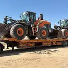 لوبد في الدمام