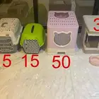 مستلزمات قطط للبيع