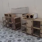 محاكر أرانب