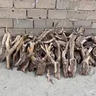 حطب مستورد يابس