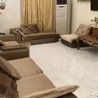كنبات ميداس مع الطاوله