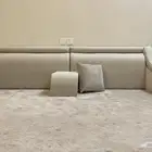 مجلس ارضي